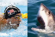 Phelps vs. Apex Predator Betting Odds