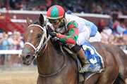 Kentucky Derby Bargain Firenze Fire