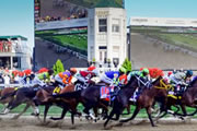 Horse Racing Fantasy Sports