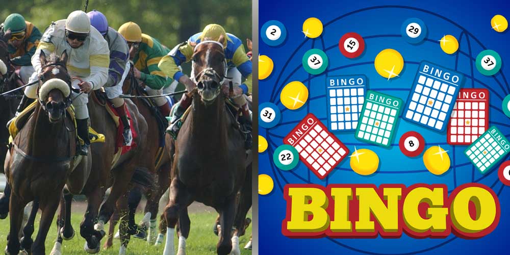 Nevada Horse Racing Betting - Bingo