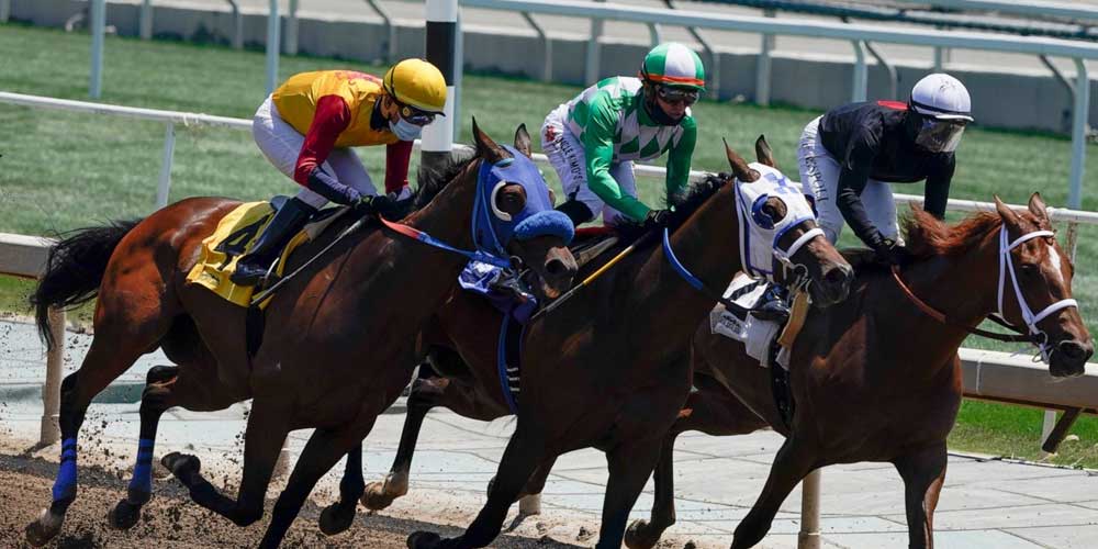 Horse Racing Betting