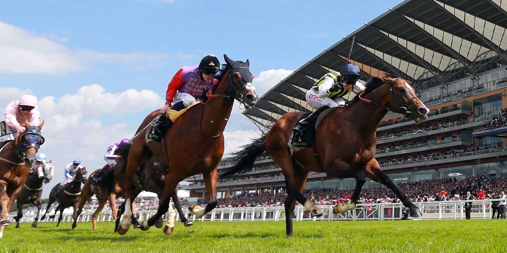 Royal Ascot Horse Race